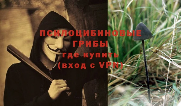 МДПВ Алексин